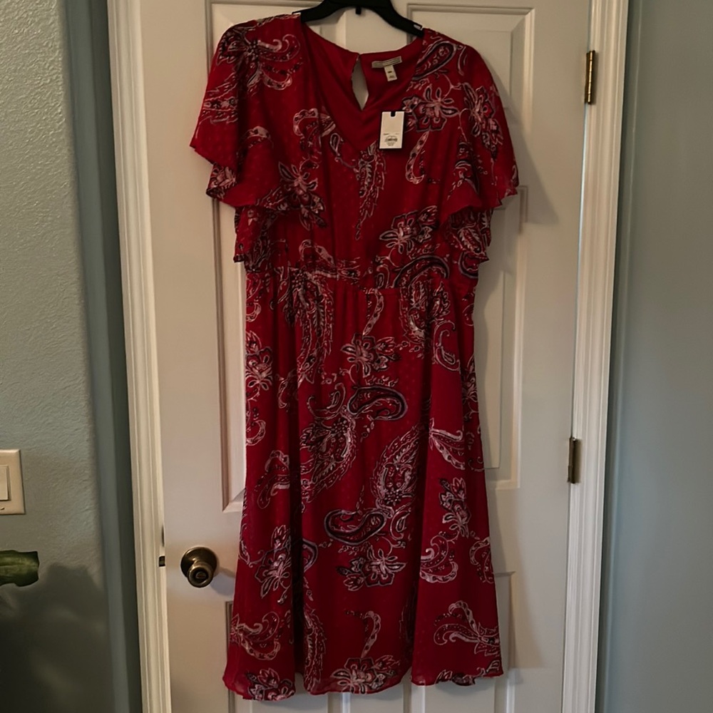 Dana Bachman dress women's.